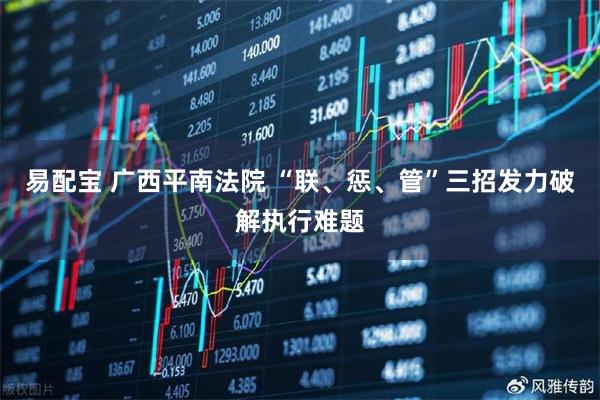 易配宝 广西平南法院 “联、惩、管”三招发力破解执行难题