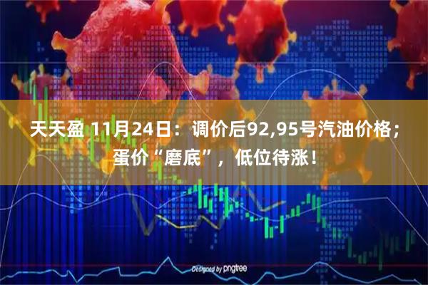 天天盈 11月24日：调价后92,95号汽油价格；蛋价“磨底”，低位待涨！