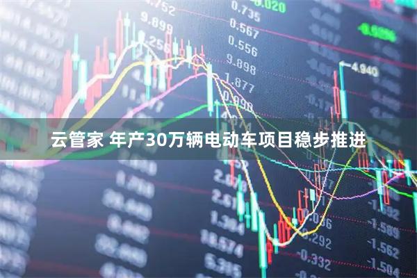 云管家 年产30万辆电动车项目稳步推进