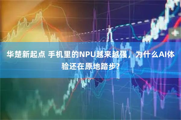 华楚新起点 手机里的NPU越来越强，为什么AI体验还在原地踏步?